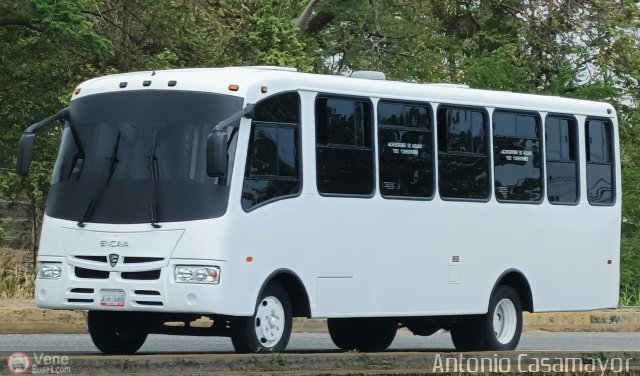 Particular o Desconocido Acarigua por Antonio Casamayor