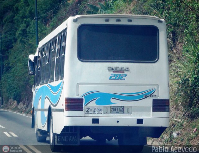 U.C. San Antonio S.C. 202 por Pablo Acevedo