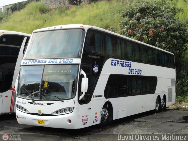 Expresos Del Lago 114 por David Olivares Martinez