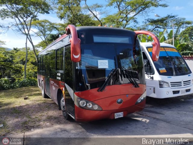 Particular o Desconocido 36 por Jerson Nova