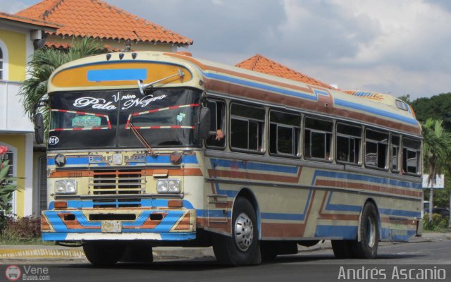 A.C. Unin Palo Negro 011 por Andrs Ascanio
