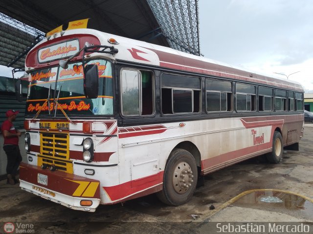 Colectivos Cachiri 42 por Sebastin Mercado