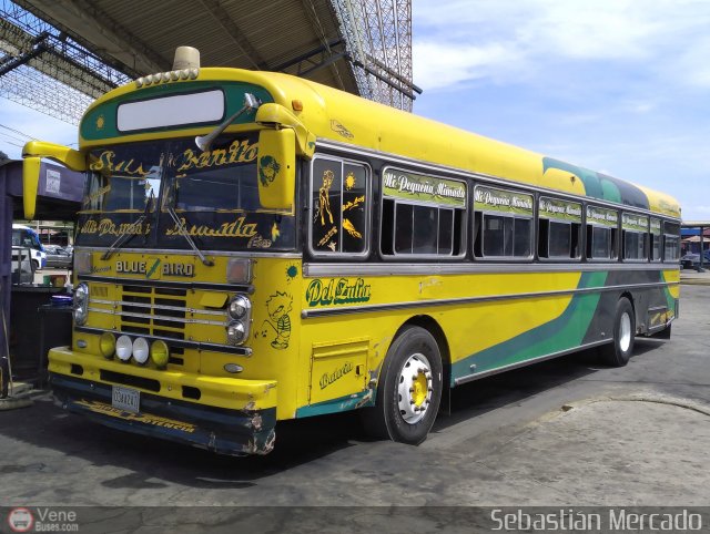 ZU - Colectivos Concepcin 010 por Sebastin Mercado