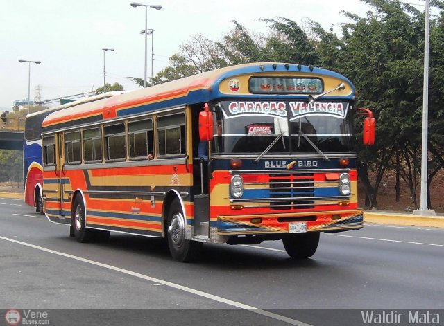 Transporte Unido 041 por Waldir Mata