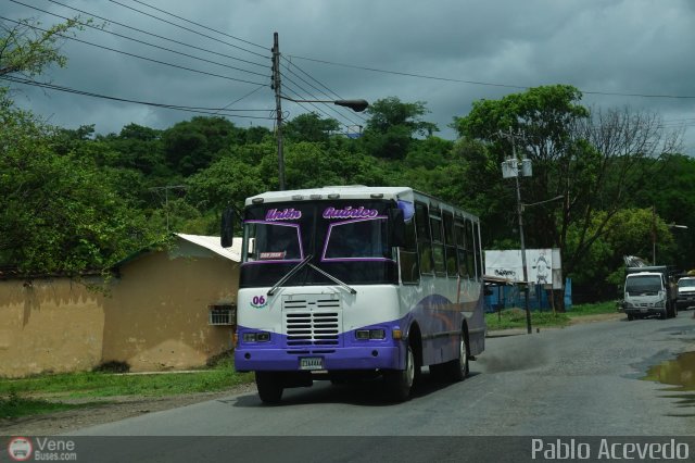 Uni�n Gu�rico 06 por Pablo Acevedo