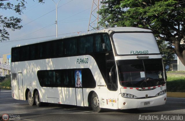 Expresos Flamingo 0741 por Andrs Ascanio