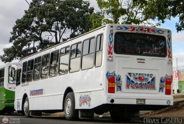 Expresos Pegamar 0006 por Oliver Castillo