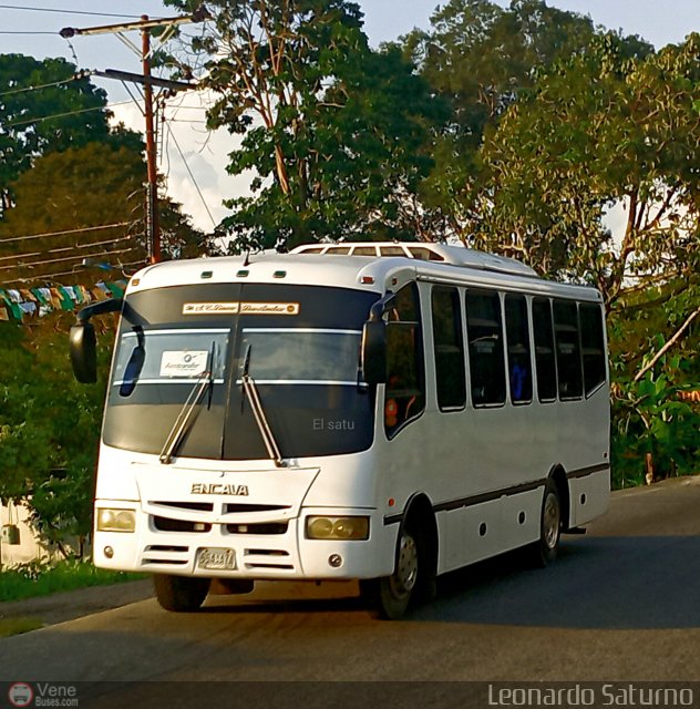 L�nea Los Andes S.C. 080 por Leonardo Saturno