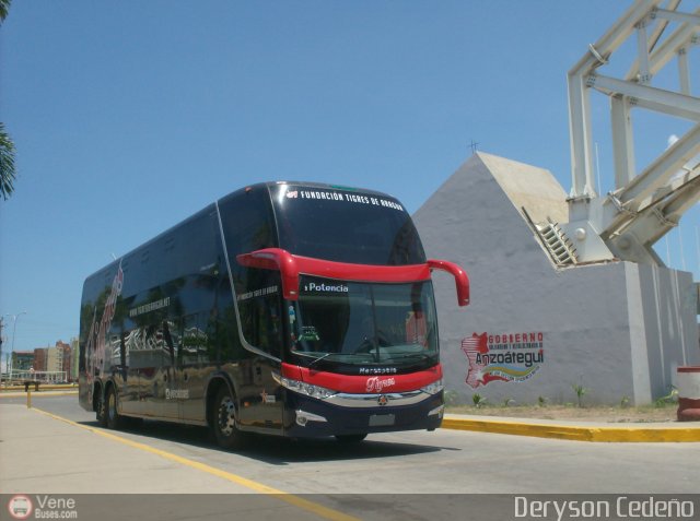 Tigres de Aragua B.B.C. 01 por Deryson Cede�o