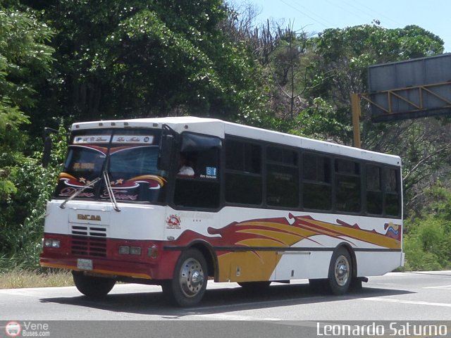 Lnea Los Andes S.C. 038 por Leonardo Saturno