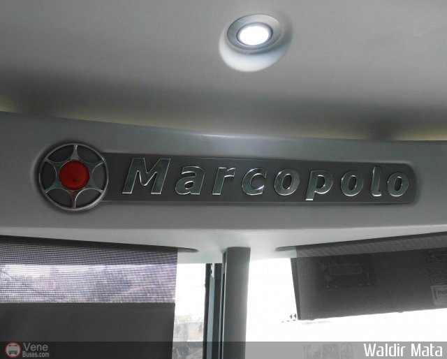 Detalles Acercamientos NO USAR M�S Minci 01 por Waldir Mata