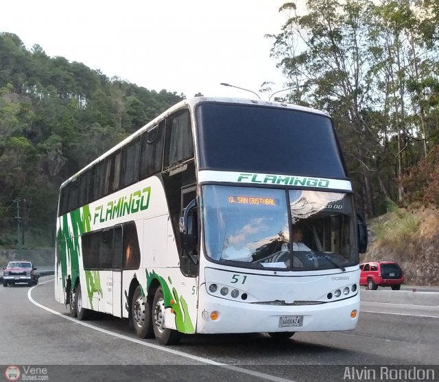 Expresos Flamingo 0051 por Alvin Rondn