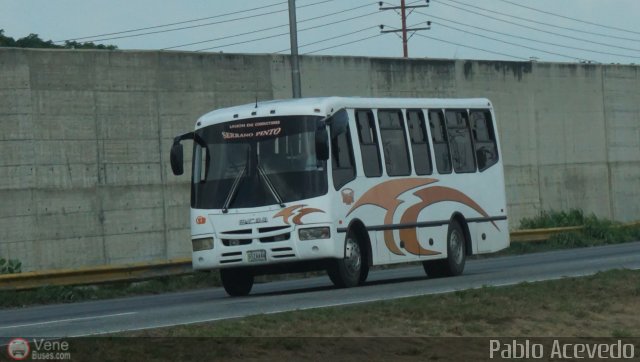 U.C. Serrano Pinto 95 por Pablo Acevedo