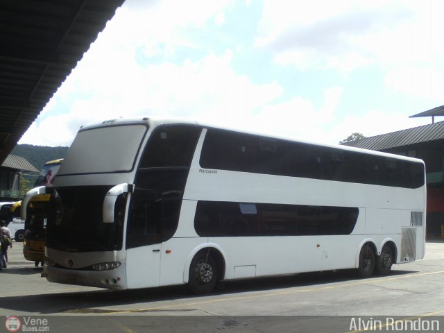 Expresos Del Lago 999 por Alvin Rond�n