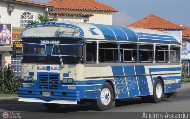 Transporte Palo Negro La Morita 2 022 por Andrs Ascanio