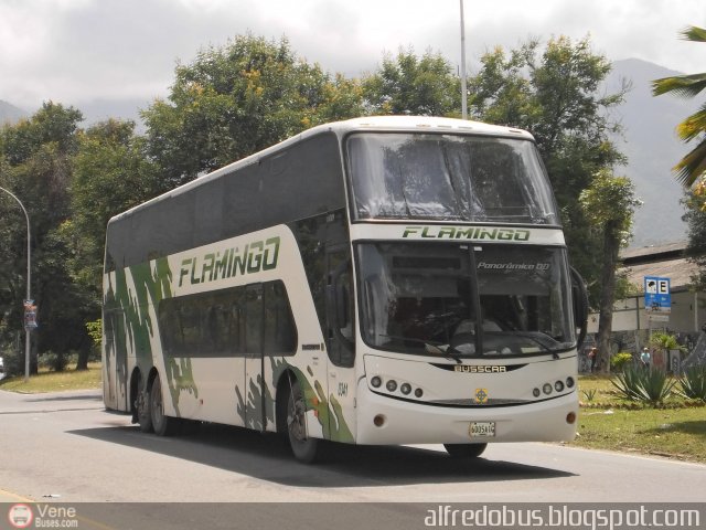 Expresos Flamingo 0341 por Alfredo Montes de Oca