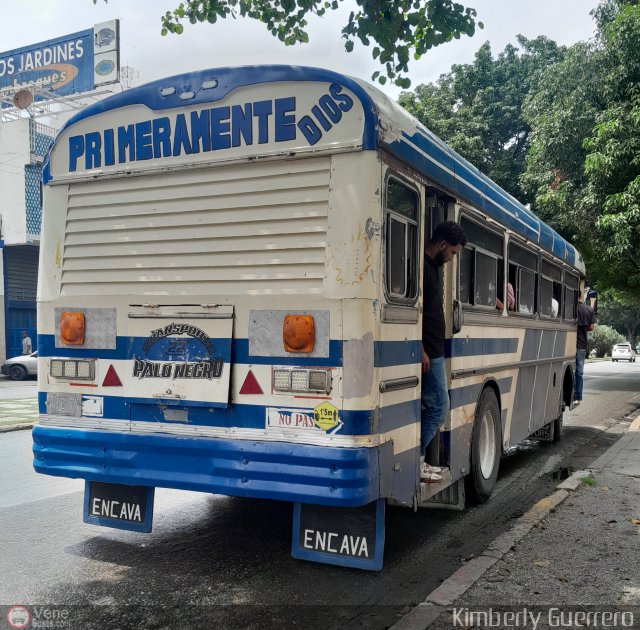 Transporte Palo Negro La Morita 2 022 por Kimberly Guerrero