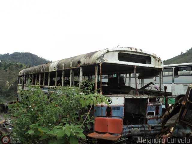 DC - Colectivos El Arenal AC0002 CEA por Alejandro Curvelo