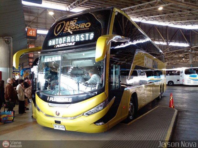 Buses Pluss Chile 49 por Jerson Nova