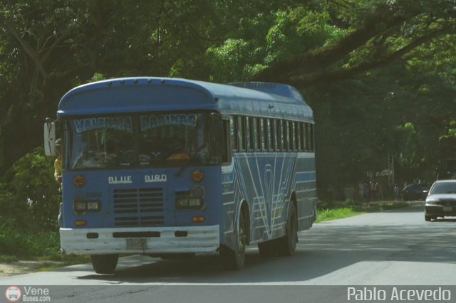 Transporte Chirgua 2000 por Pablo Acevedo