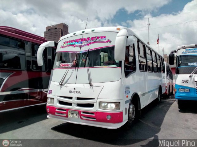 A.C. Indepasib 087 por Miguel Pino