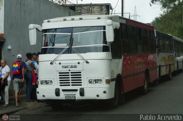 U.C. Caracas - El Junquito - Colonia Tovar 039 por Pablo Acevedo