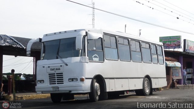 S.C. L�nea Transporte Expresos Del Chama 159 por Leonardo Saturno