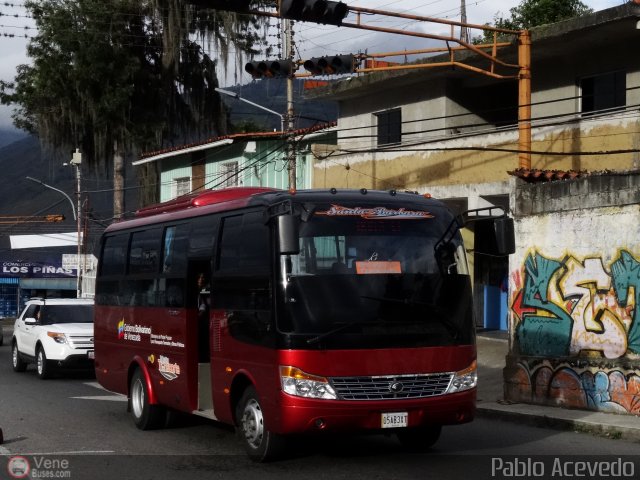 TU - Lnea Jardn de Venezuela 90 por Pablo Acevedo