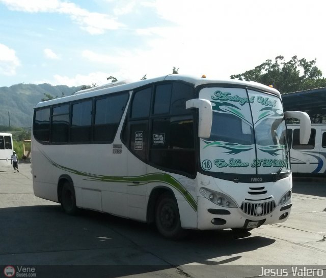 A.C. de Transporte Encarnacin 018 por Jess Valero
