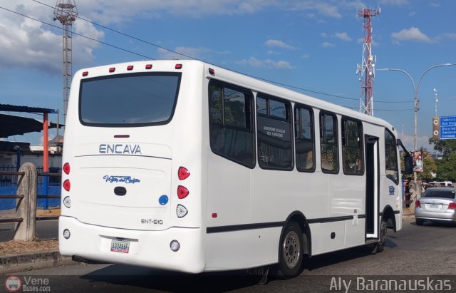 Transporte Virgen del Carmen 05 por Aly Baranauskas