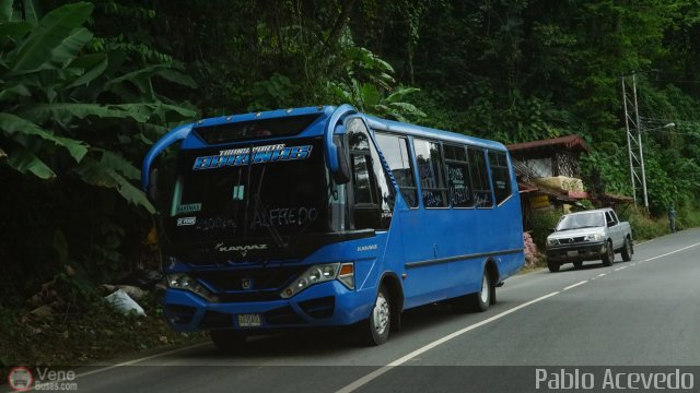 Transporte Barinas 705 por Pablo Acevedo