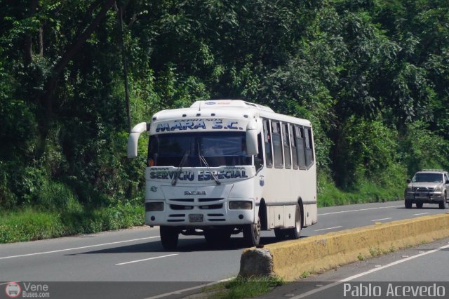 S.C. Expresos Mara 037 por Pablo Acevedo