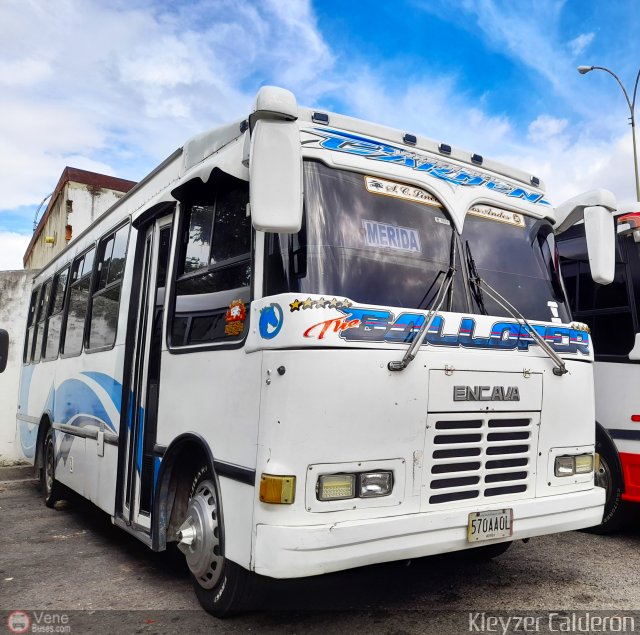 Lnea Los Andes S.C. 035 por Kleyzer Caldern