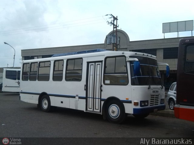 Particular NO USAR M�S 100 por Aly Baranauskas