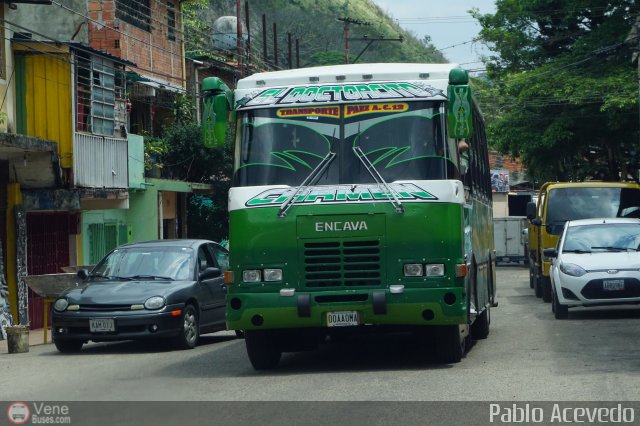 A.C. Transporte Paez 012 por Pablo Acevedo