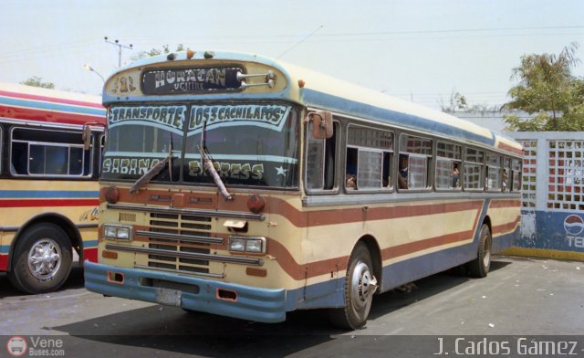 Expresos Los 3 Cachilapos 01 por Pablo Acevedo