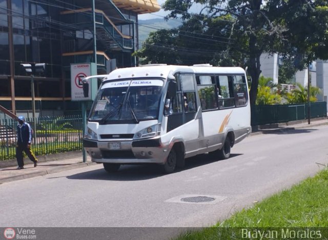 TA - A.C. Autos por puesto L�nea Palmira 055 por Jerson Nova