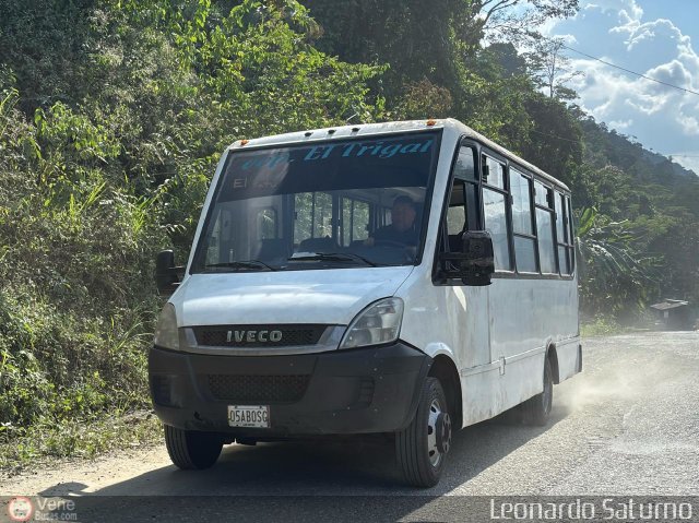 CA - Asociaci�n Coop. El Trigal R.L. 990 por Leonardo Saturno