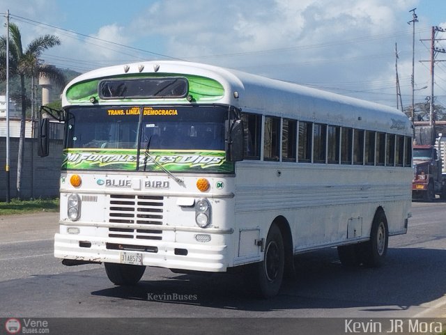 A.C. Transporte Democracia 55 por Kevin Mora