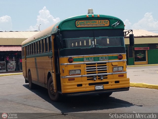 ZU - Colectivos Concepci�n 106 por Sebasti�n Mercado