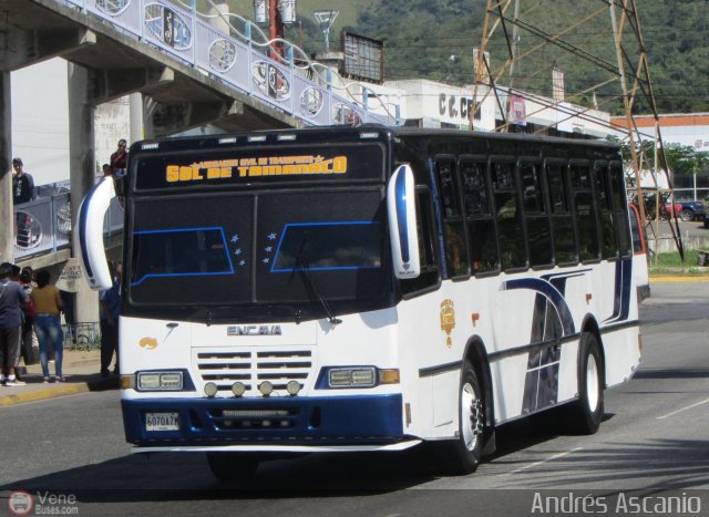 A.C. de Transporte Sol de Tamanaco 40 por Andrs Ascanio