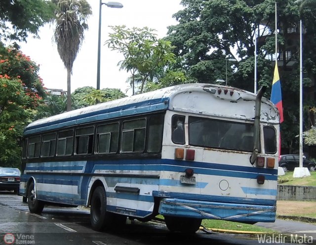 Universidad Central de Venezuela 999 por Waldir Mata