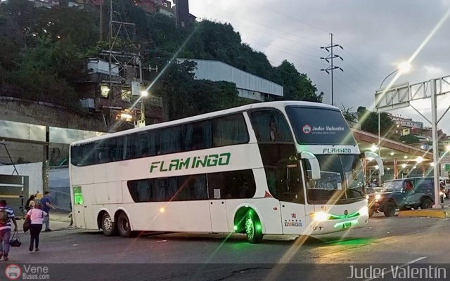 Expresos Flamingo 0141 por Juder Valent�n