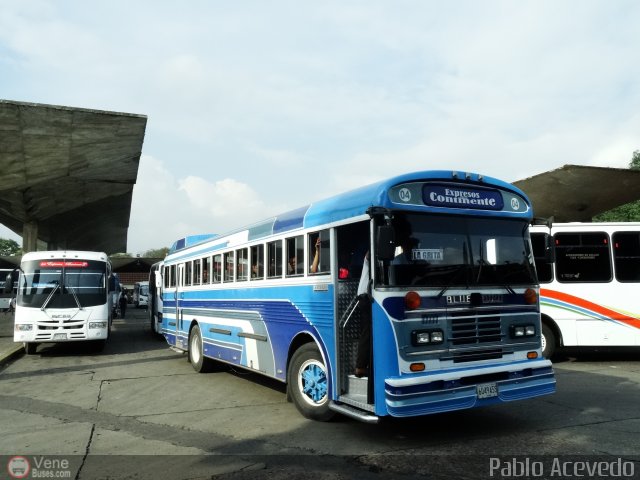 Expresos Continente C-04 por Pablo Acevedo