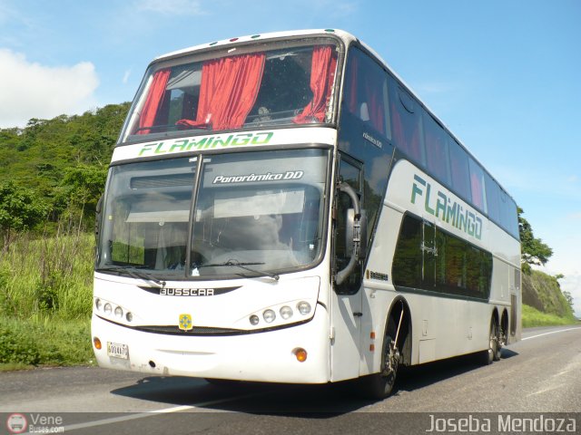 Expresos Flamingo 0082 por Joseba Mendoza