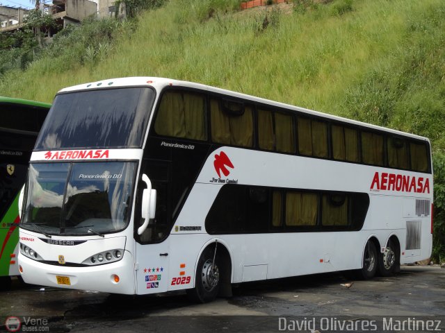 Aeronasa - Aeropullmans Nacionales S.A. 2029 por David Olivares Martinez