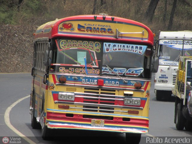 Transporte Colectivo Camag 08 por Pablo Acevedo