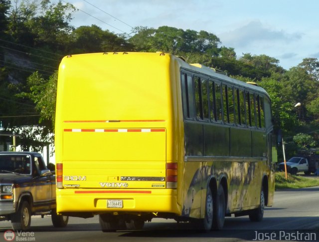 Unin Conductores Aeropuerto Maiqueta Caracas 998 por Jos Pastran