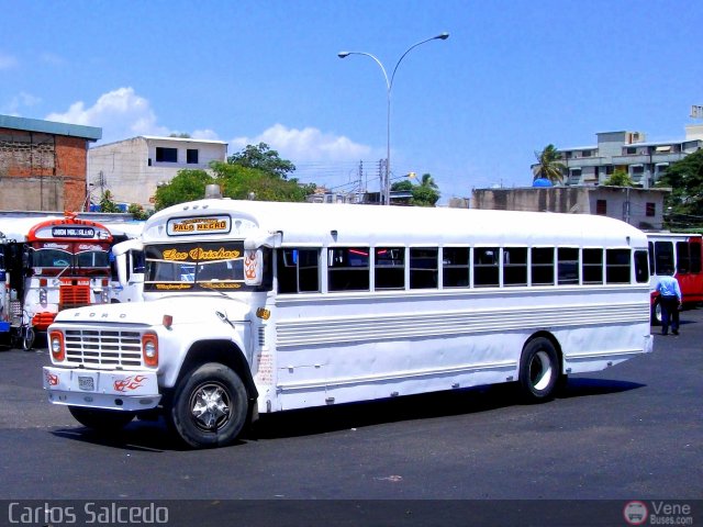 Transporte Colectivo Palo Negro 52 por Carlos Salcedo