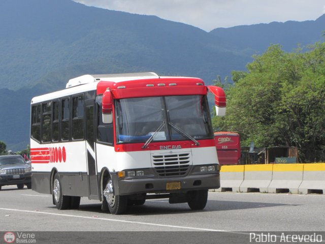 Sin identificacin o Desconocido 98 por Pablo Acevedo